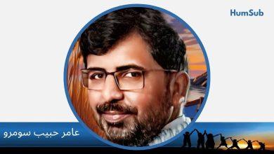 aamir habib soomro