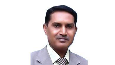 prof amer zareen
