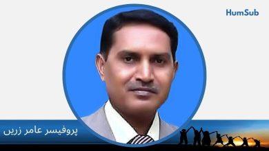 prof amer zareen