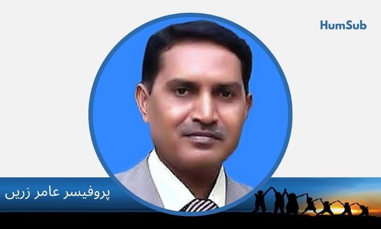 prof amer zareen