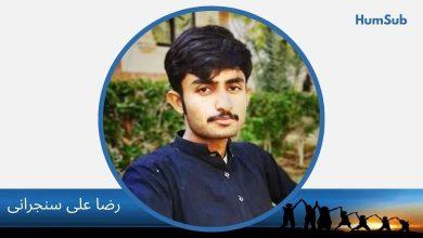 raza ali sanjrani