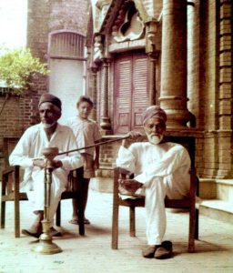 ایک شاذ و نادر پرندہ 12