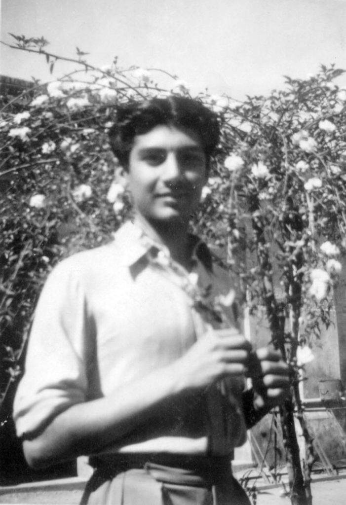 ایک شاذ و نادر پرندہ 14