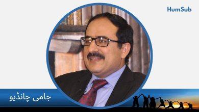 jami chandio