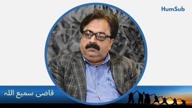 سندھ پر بیرونی حملوں کی تاریخ کا اجمالی خاکہ ( 3 ) 14 qazi sami ullah